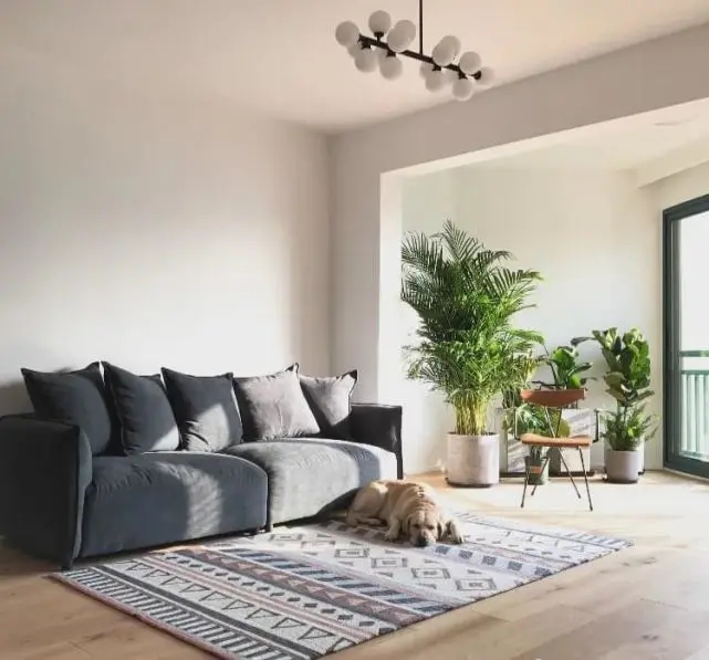 陽臺要不要裝推拉門？客廳和陽臺裝門與不裝門的優缺點